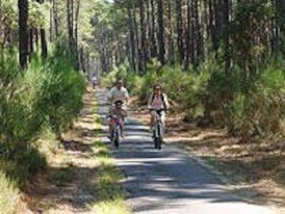 Maison De Vacances 4/5 Personnes A Leon, Landes מראה חיצוני תמונה